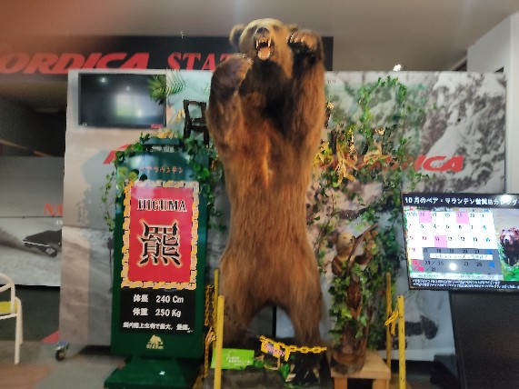 ベアマウンテン