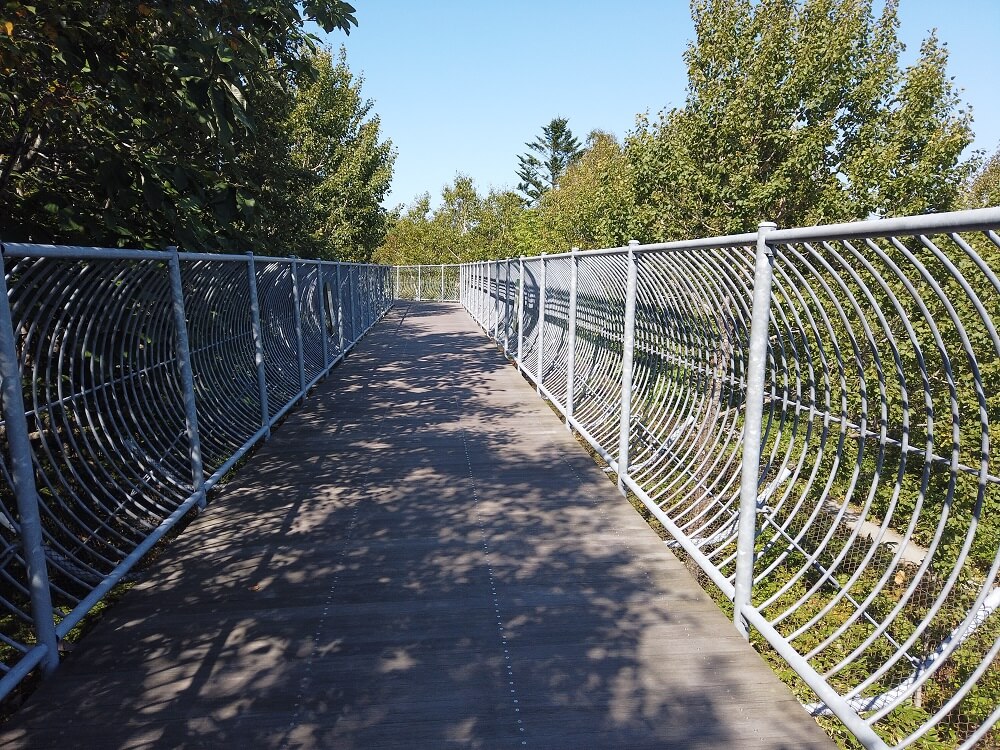 ベアマウンテン