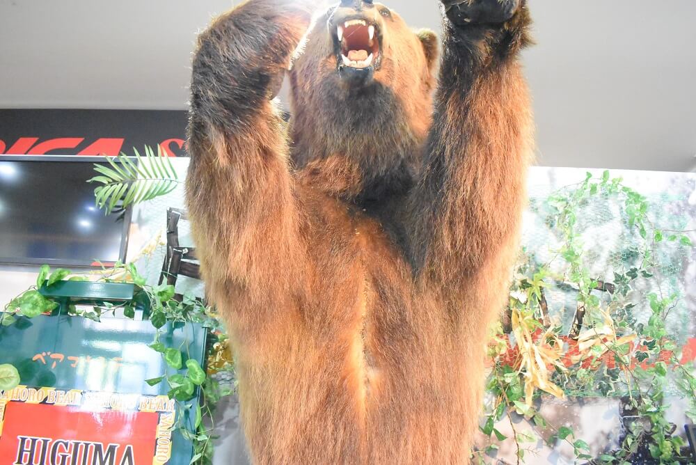 ベアマウンテン