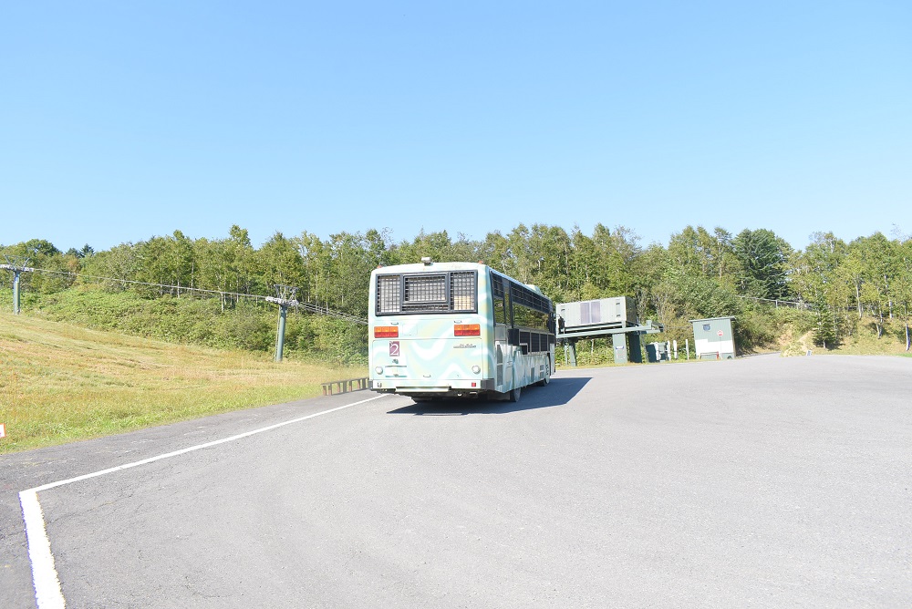 ベアマウンテン