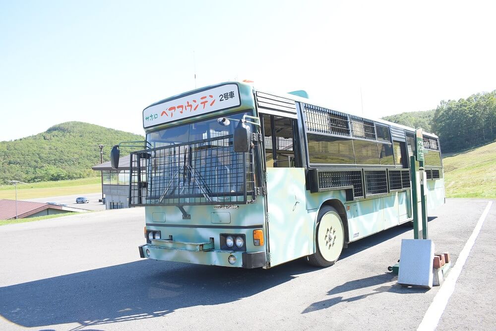 ベアマウンテン