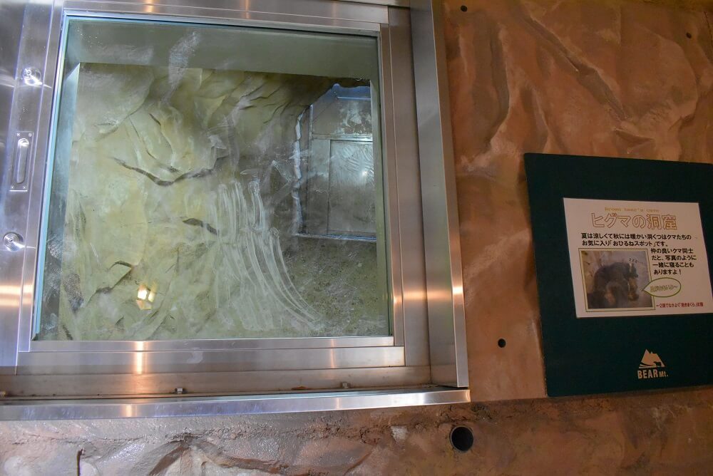 ベアマウンテン