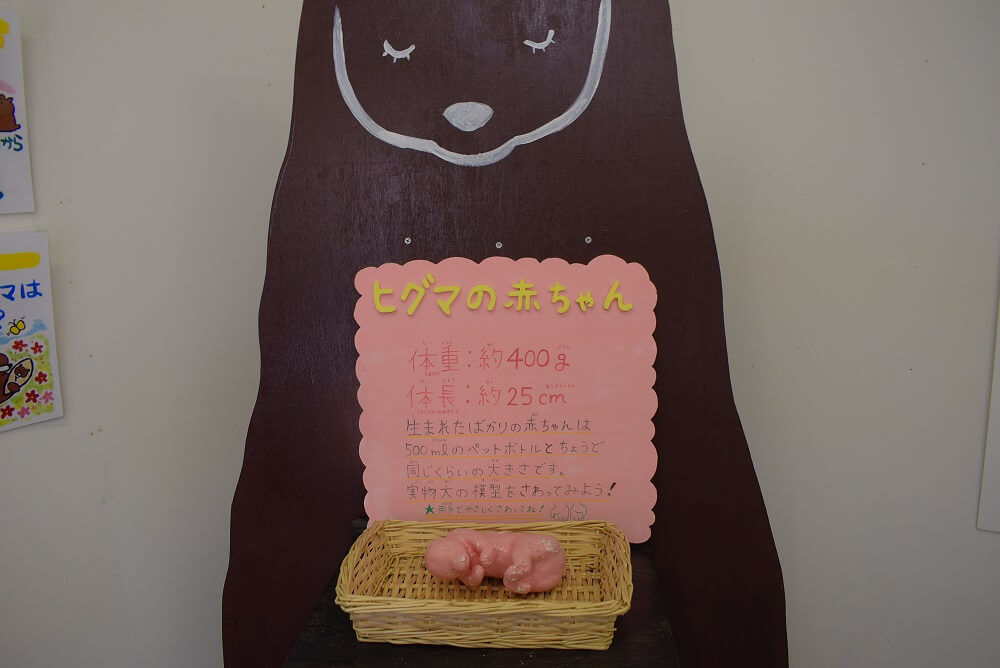 ベアマウンテン