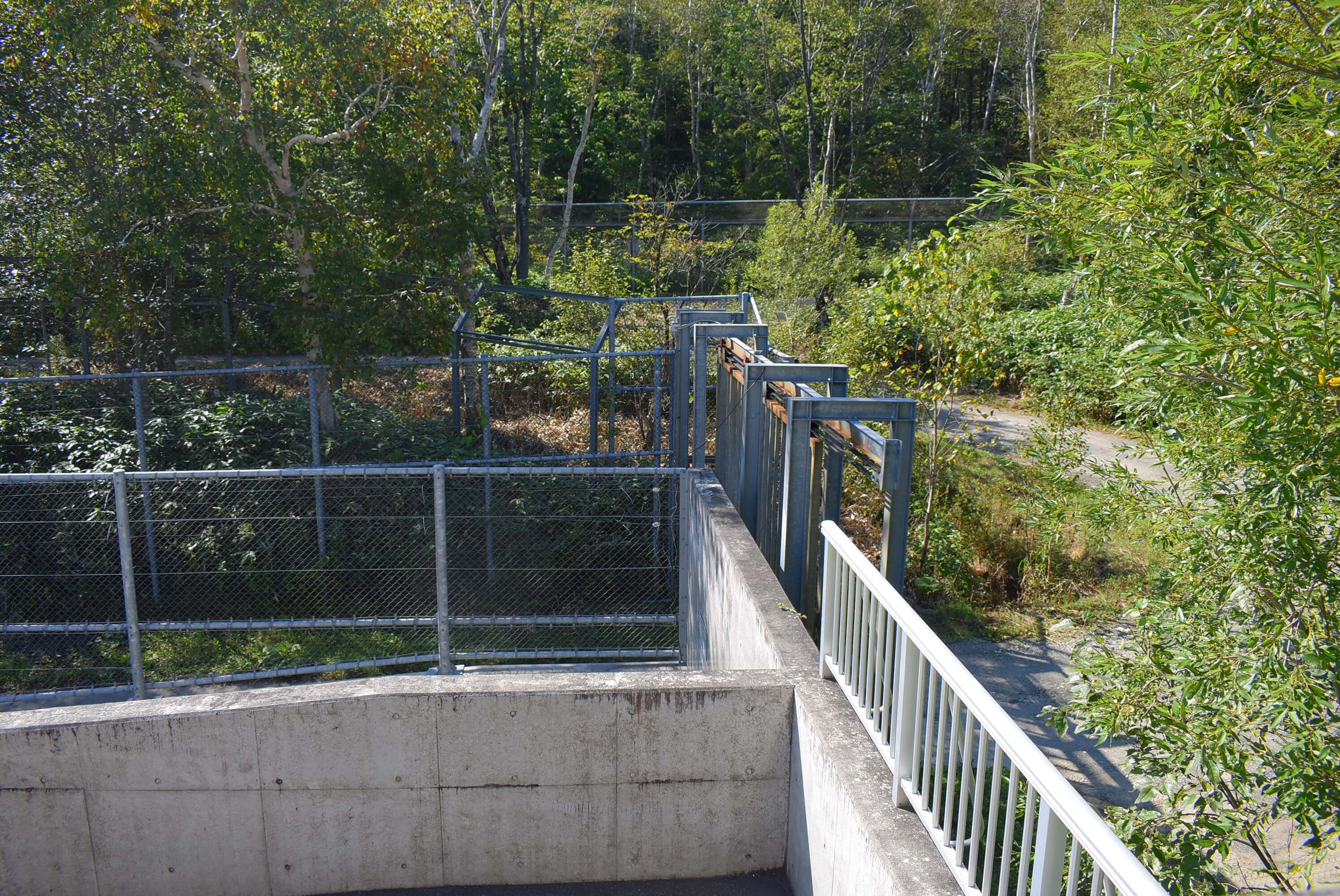 ベアマウンテン