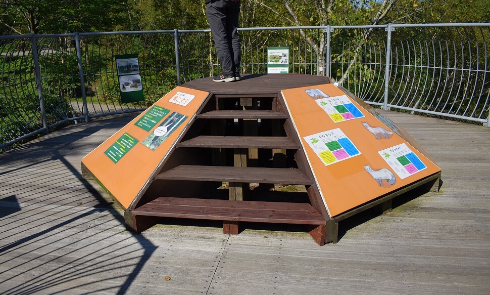 ベアマウンテン