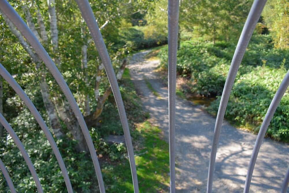 ベアマウンテン