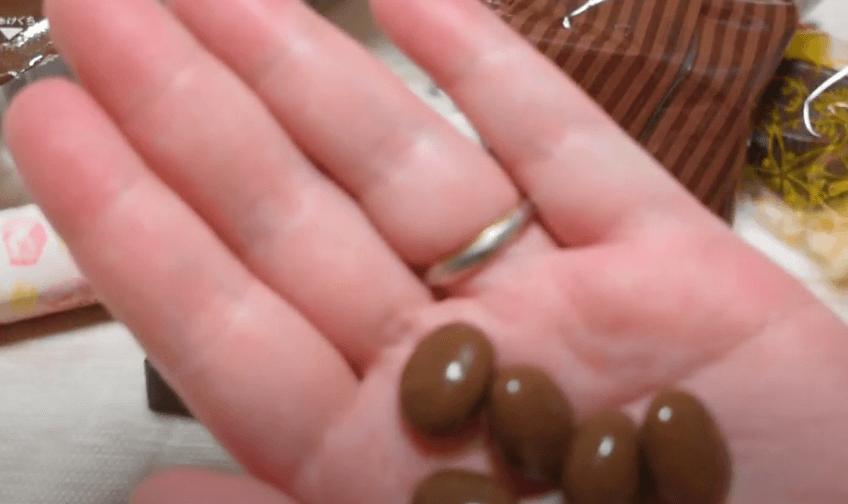 ロイズおつまみチョコ