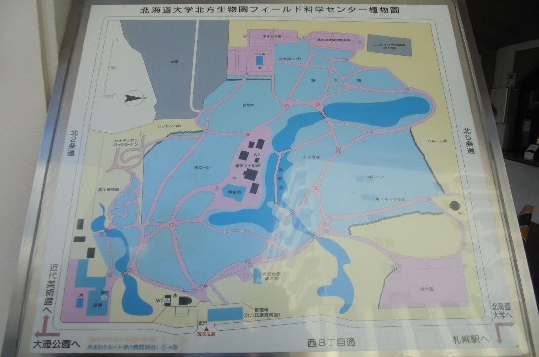 北海道大学植物園