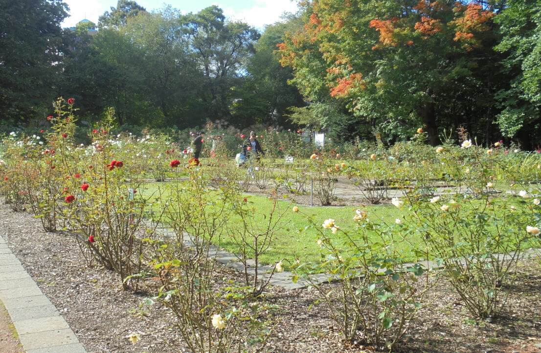 北海道大学植物園