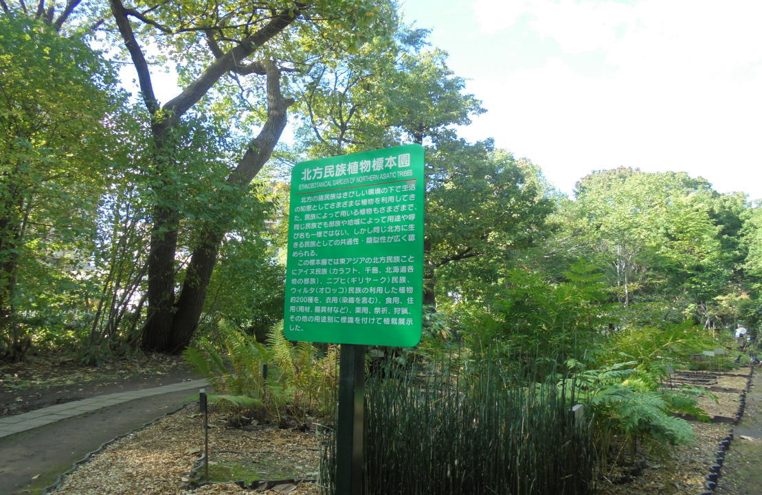 北海道大学植物園