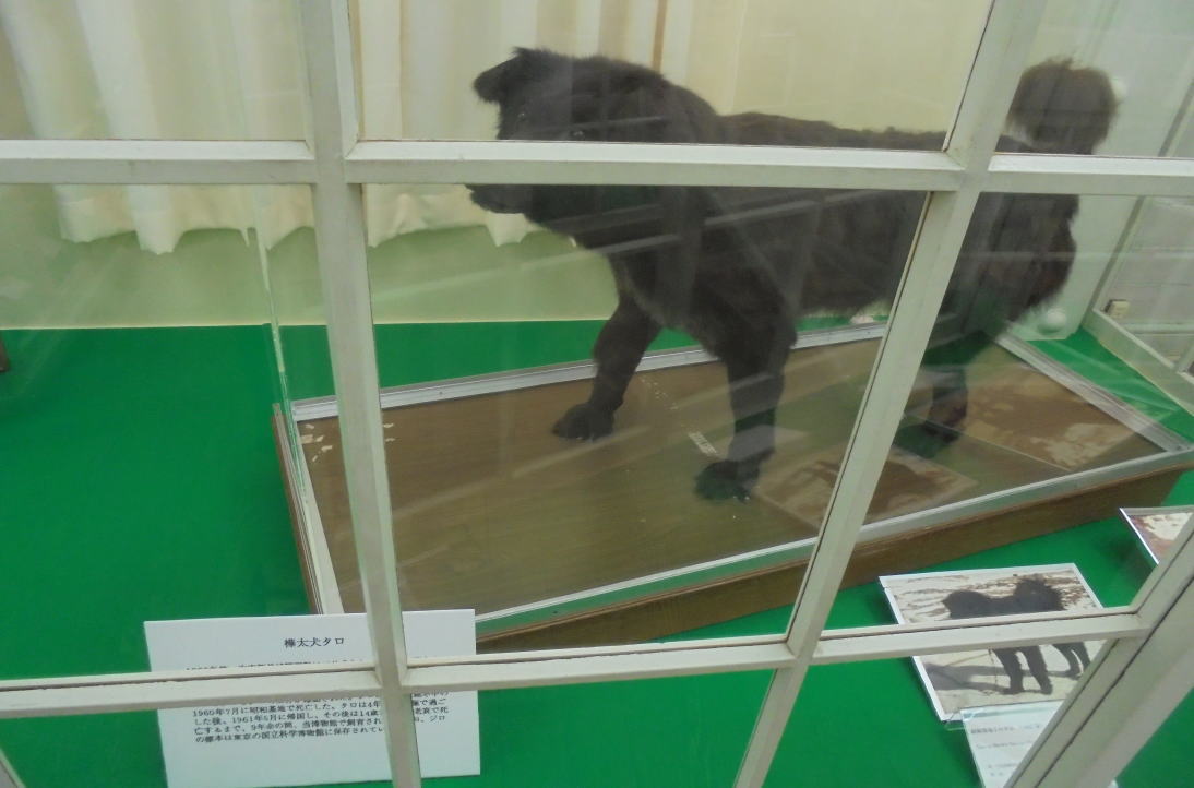 北海道大学植物園