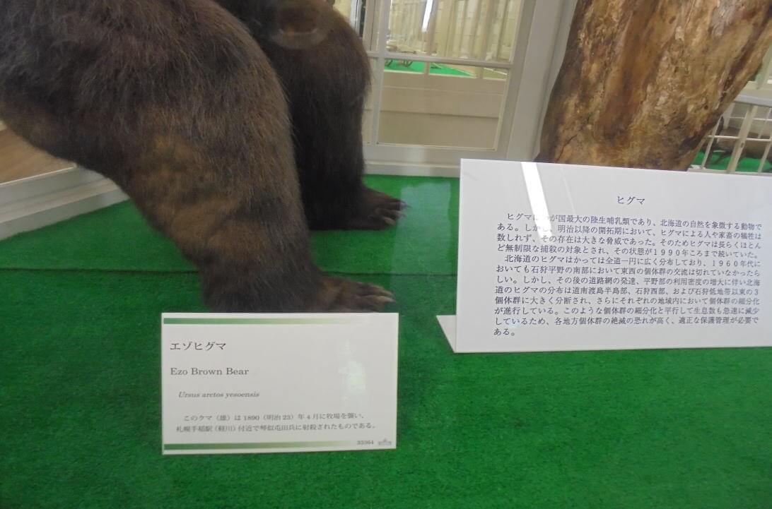 北海道大学植物園